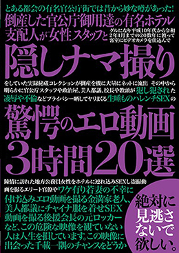 倒産した官公庁御用達の有名ホテル支配人が女性スタッフと隠しナマ撮り驚愕のエロ動画3時間20選